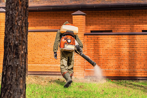 Trusted Emergency Pest Control service in North Branch, MN - Nex Pest Control